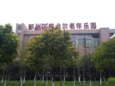图片288