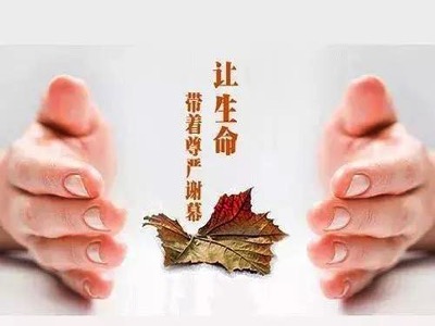 5271063bdcd440ca8a031f8b20bcbade