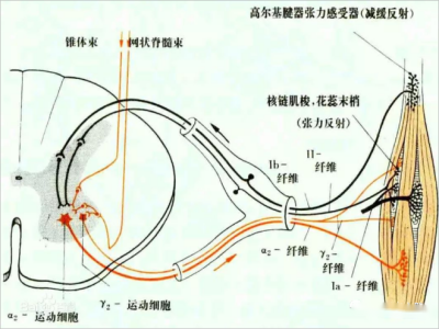 640(3)