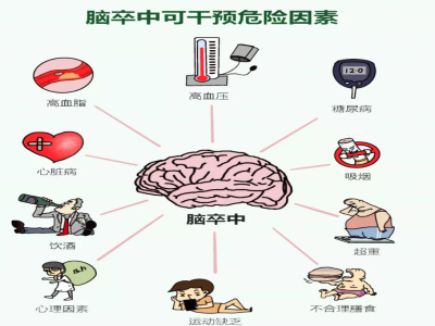 卒中因素