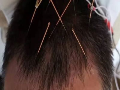 微信截图_20231116130047