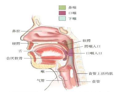 吞咽障碍1