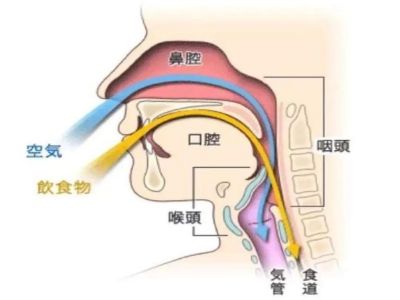 吞咽