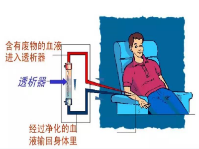 血透1