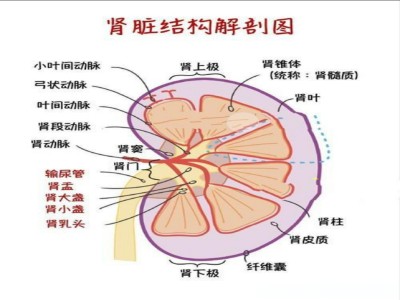 微信截图_20241028142328