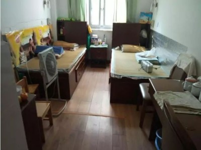 微信截图_20241121225254