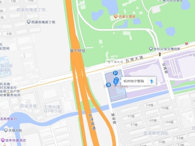 微信截图_20241226134930