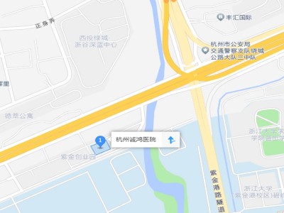 诚鸿1