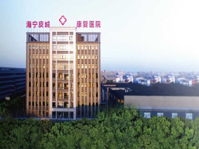 海宁皮城医院大楼