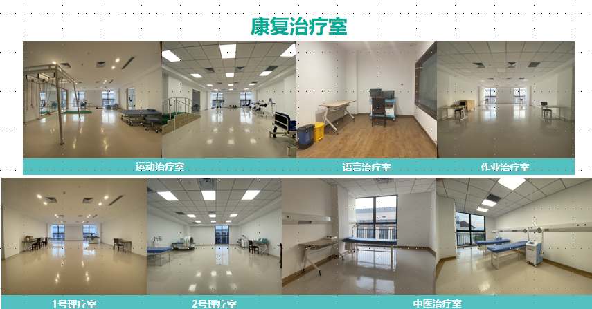 树兰安吉康复
