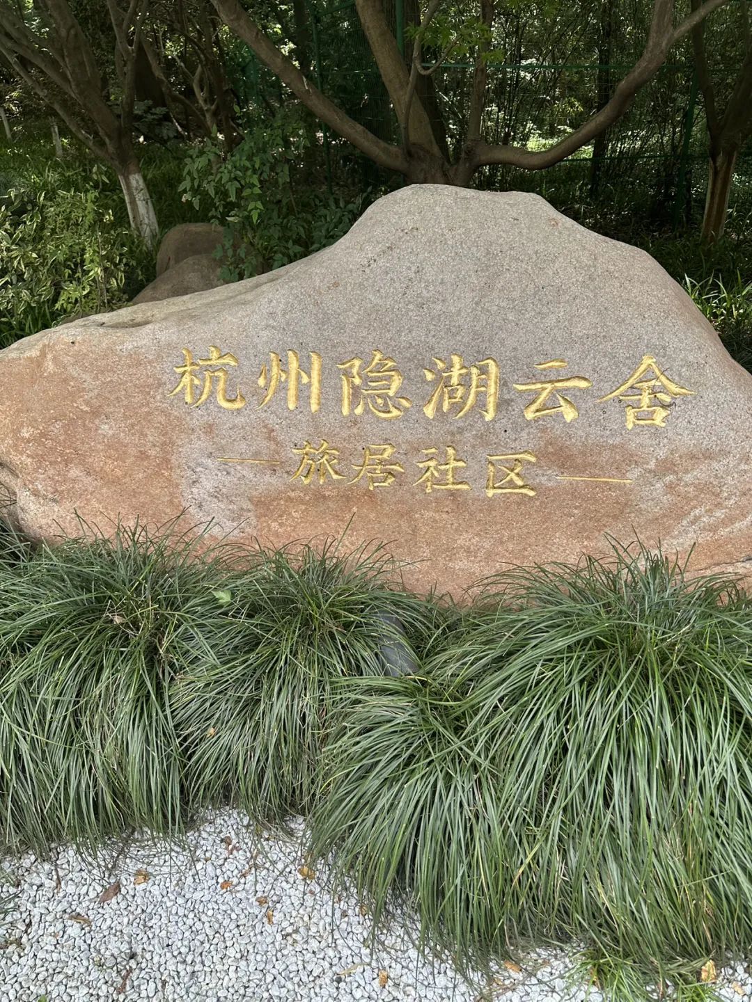 大家的家