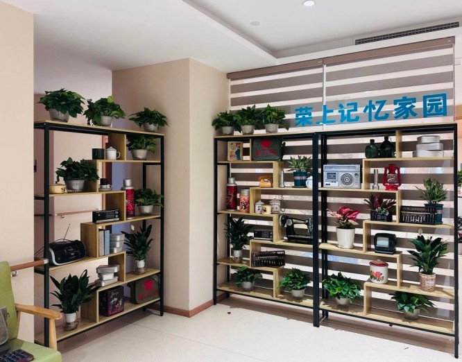 荣上记忆家园植物区