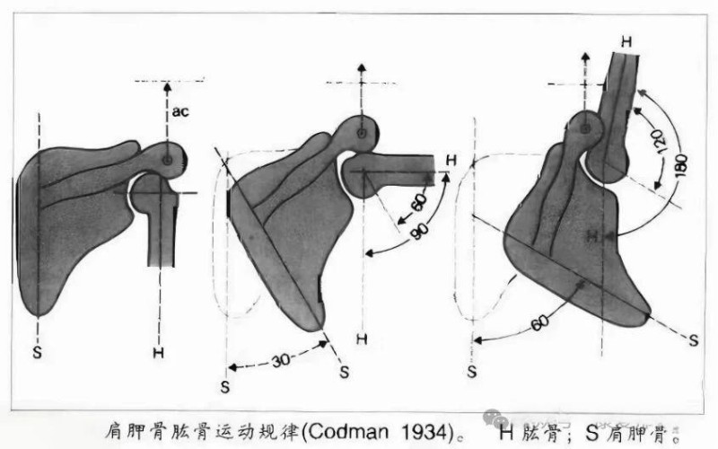 微信图片_20250716142930
