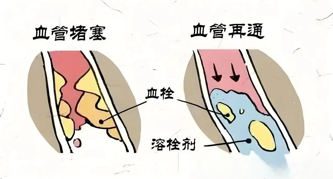 微信图片_20250723140525