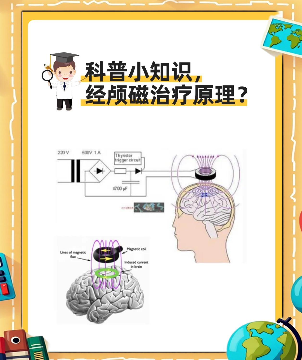 经颅磁