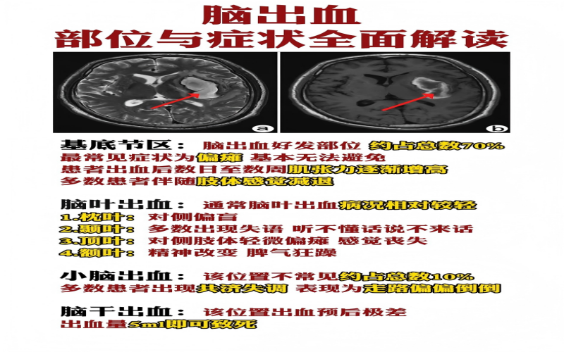 15520b3baa43743ce85b374088430220(1)
