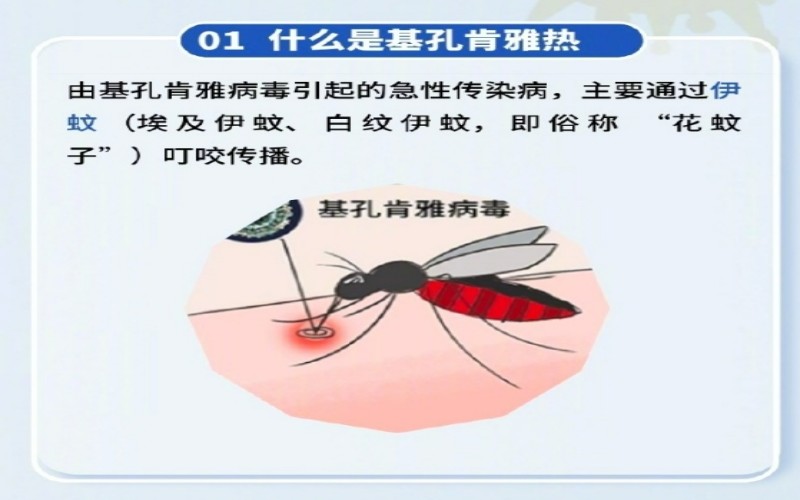微信截图_20250806154953
