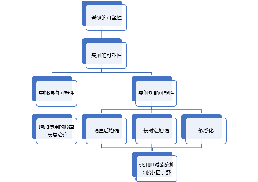 微信图片_2025-09-03_172232_723