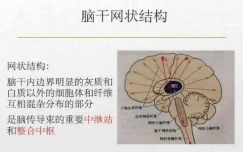 wechat_2025-09-01_225003_757