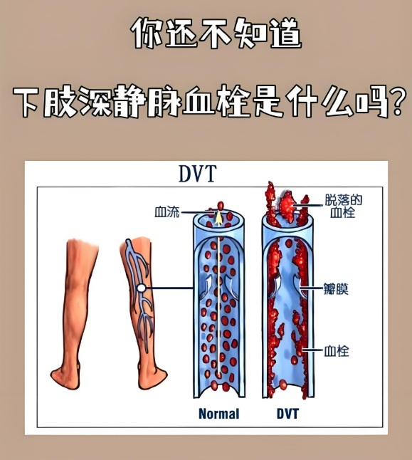 wechat_2025-09-26_120734_052
