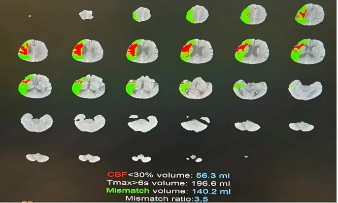 微信图片_2025-12-17_150544_374