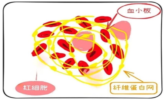 微信图片_2025-12-17_150536_623