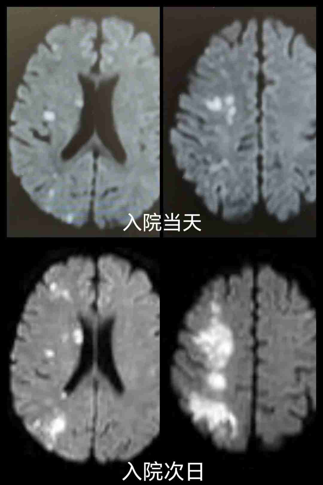 微信图片_2025-12-11_164808_015 微信图片_2025-12-11_164808_015