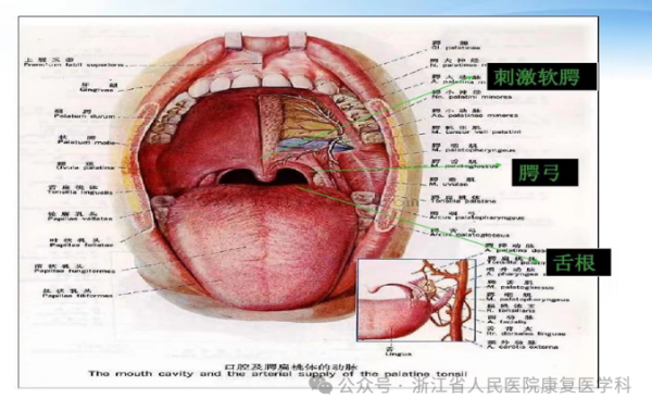 微信图片_2026-01-20_171940_636 微信图片_2026-01-20_171940_636