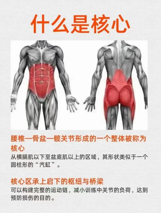 u=4149297808,129364337&fm=253&app=138&f=JPEG